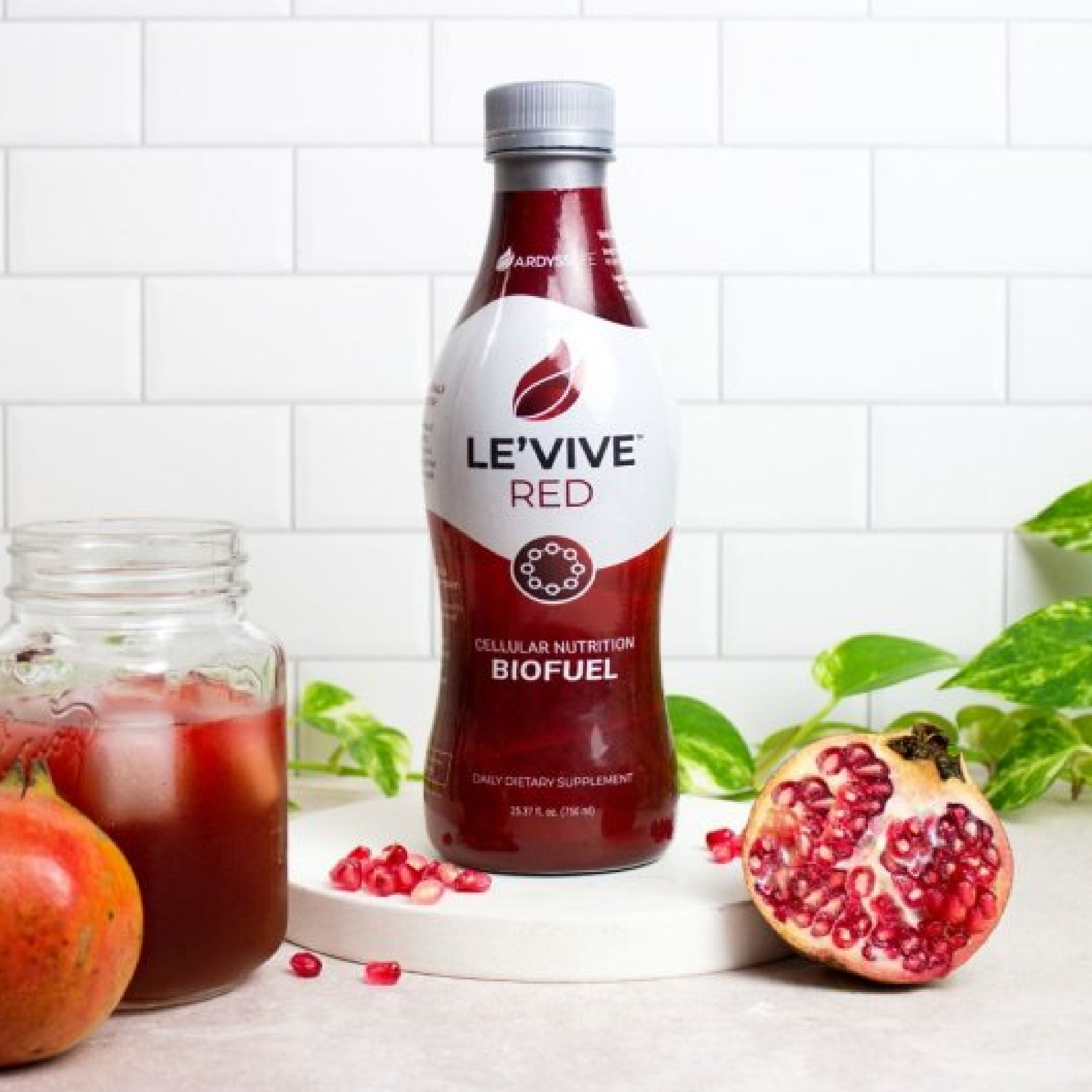 2 Le'Vive Red Special